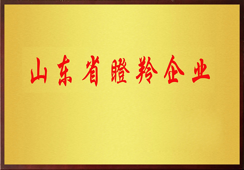 山東省“瞪羚企業(yè)” 山東省“瞪羚企業(yè)”